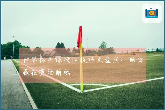 世界杯买球投注技巧大盘点，助你赢在赛场前线