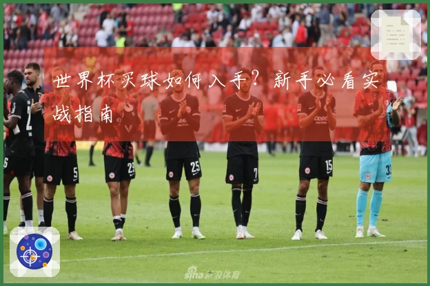 世界杯买球如何入手？新手必看实战指南