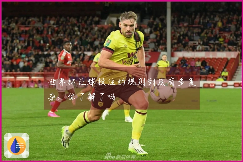 世界杯让球投注的规则到底有多复杂，你了解了吗