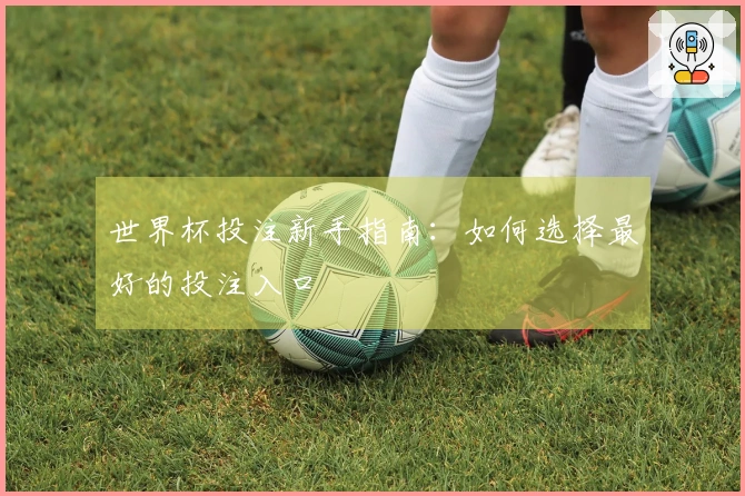 世界杯投注新手指南：如何选择最好的投注入口