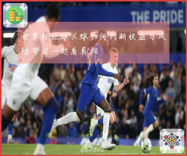 世界杯让球买球如何判断收益与风险带你一起看真相