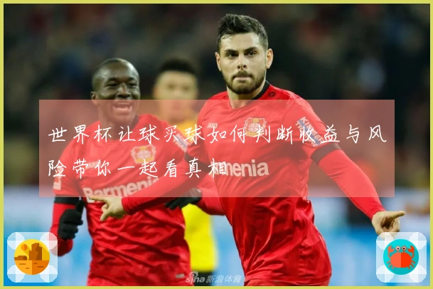 世界杯让球买球如何判断收益与风险带你一起看真相