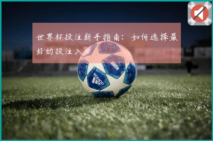 世界杯投注新手指南：如何选择最好的投注入口