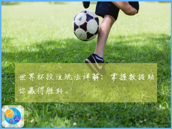 世界杯投注玩法详解：掌握数据助你赢得胜利