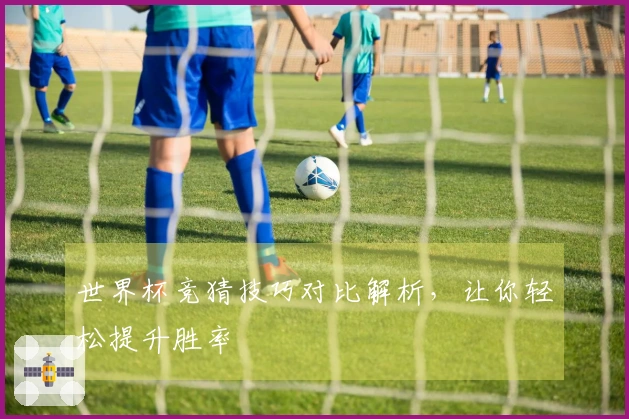 世界杯竞猜技巧对比解析，让你轻松提升胜率